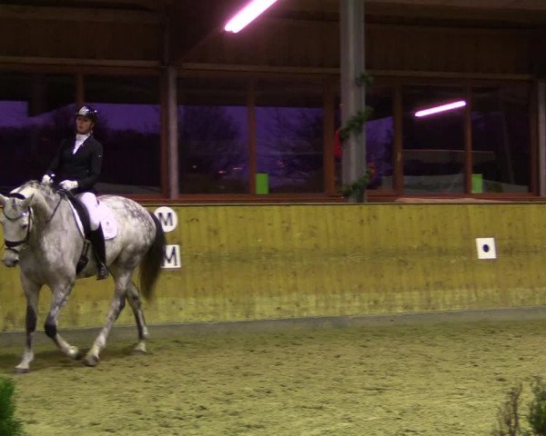 Reitturnier Appelhülsen 2019