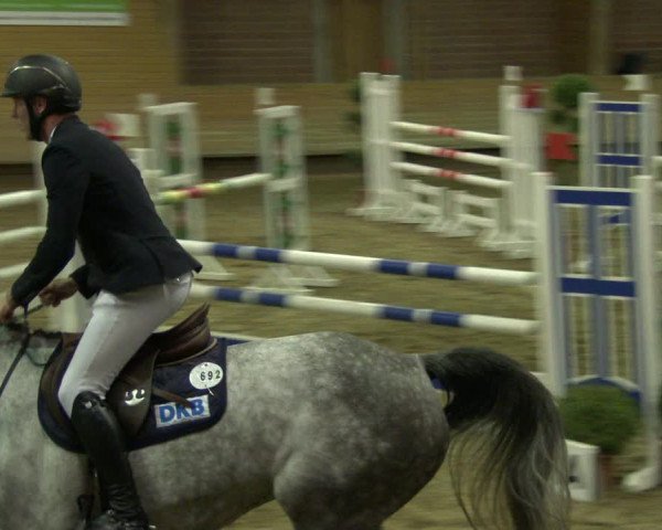 Reitturnier Paderborn 2019
