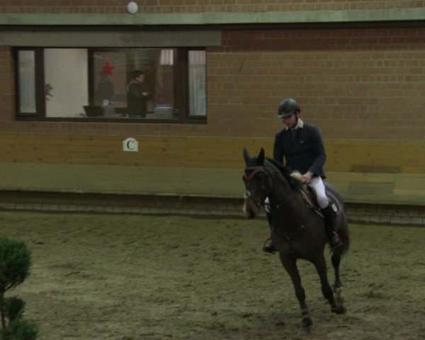 Reitturnier Paderborn 2019