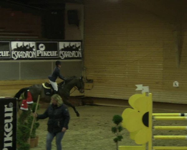 Reitturnier Paderborn 2019