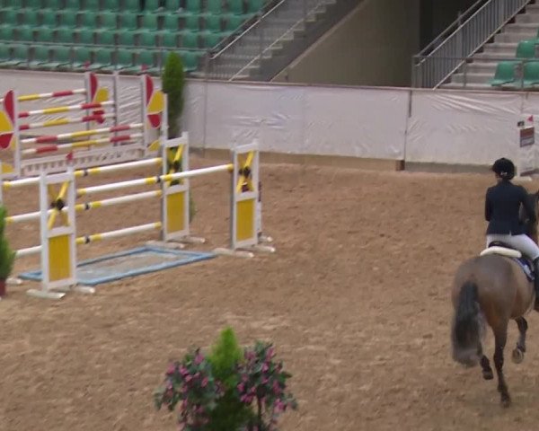 Reitturnier Kreuth/Opf. 2019
