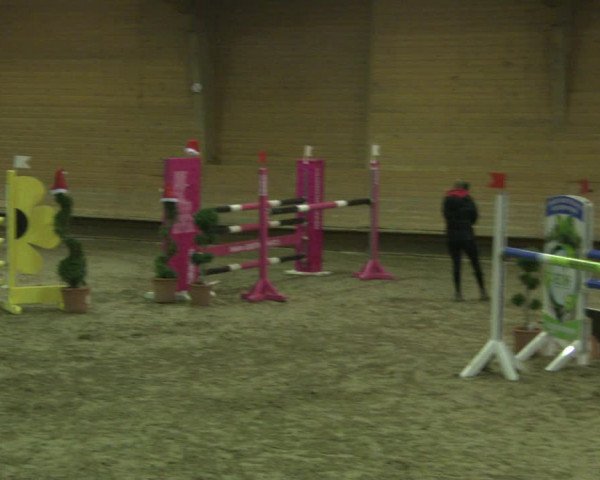 Reitturnier Paderborn 2019