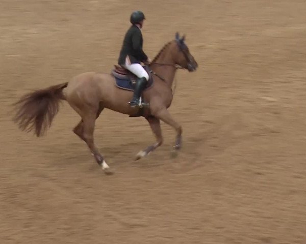 Reitturnier Kreuth/Opf. 2019