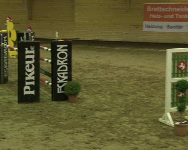 Reitturnier Paderborn 2019