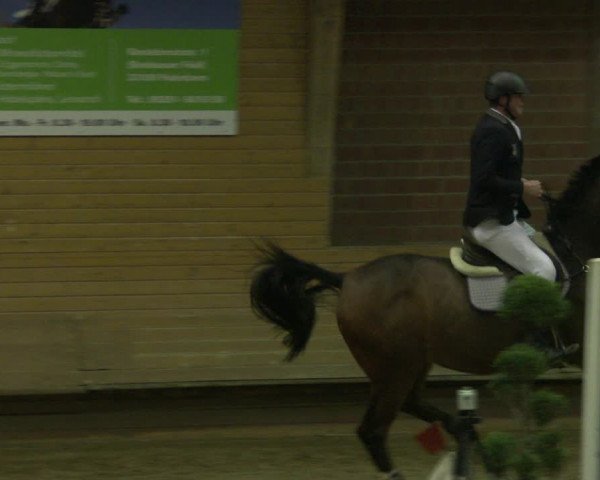 Reitturnier Paderborn 2019