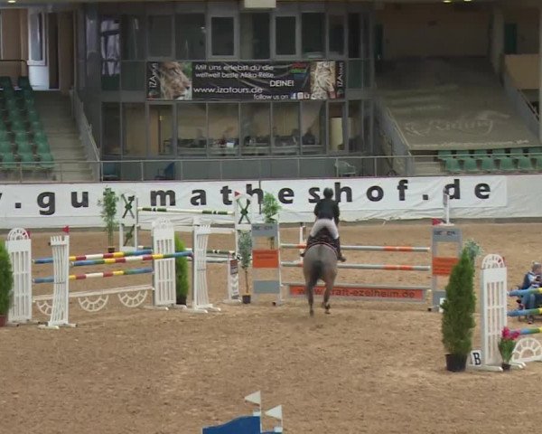 Reitturnier Kreuth/Opf. 2019