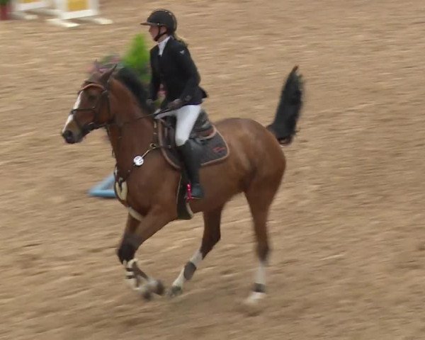 Reitturnier Kreuth/Opf. 2019