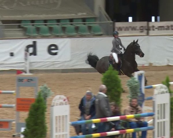 Reitturnier Kreuth/Opf. 2019