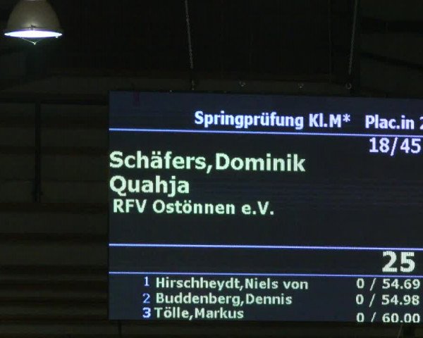 Reitturnier Paderborn 2019