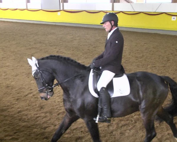 Reitturnier Ellwangen-Röhlingen 2019