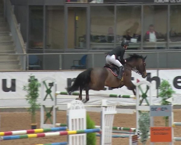 Reitturnier Kreuth/Opf. 2019