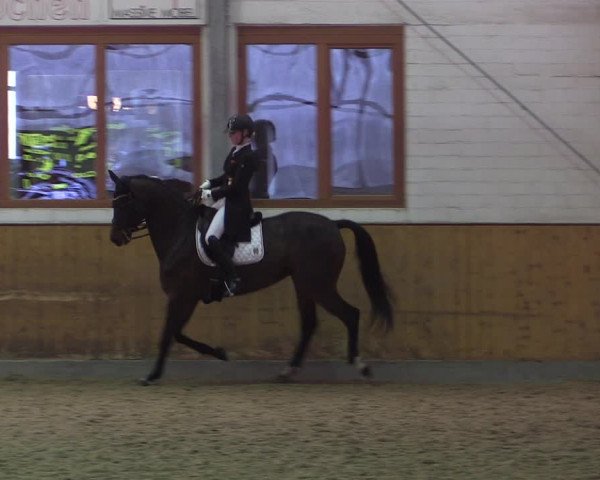 Reitturnier Appelhülsen 2019