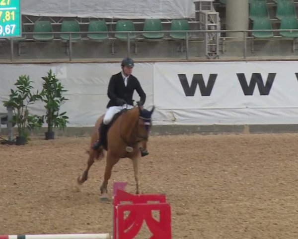 Reitturnier Kreuth/Opf. 2019