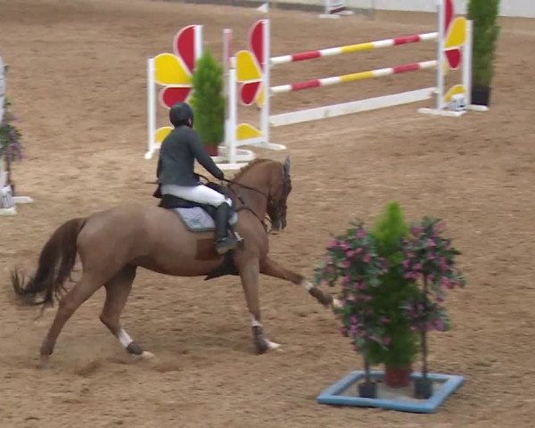 Reitturnier Kreuth/Opf. 2019