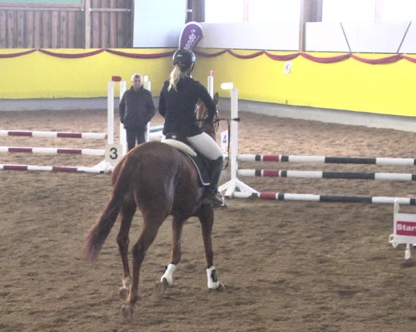 Reitturnier Ellwangen-Röhlingen 2019