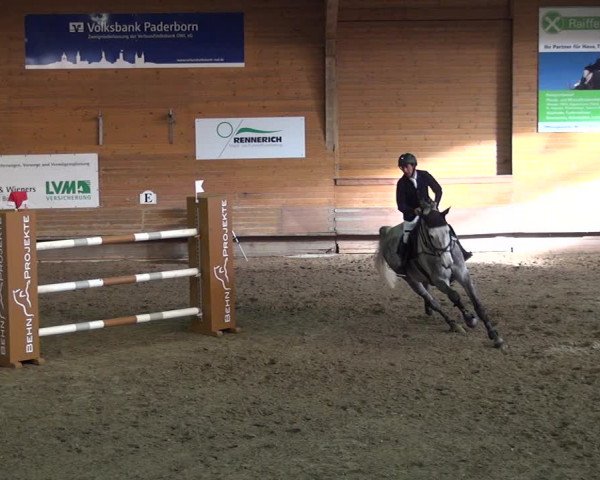 Reitturnier Paderborn 2019