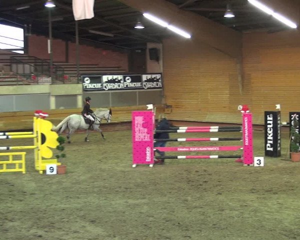 Reitturnier Paderborn 2019