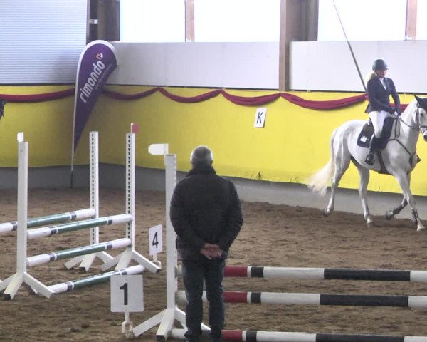 Reitturnier Ellwangen-Röhlingen 2019