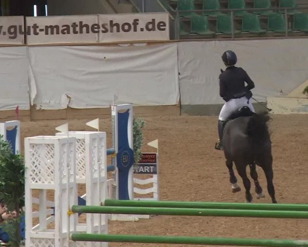 Reitturnier Kreuth/Opf. 2019