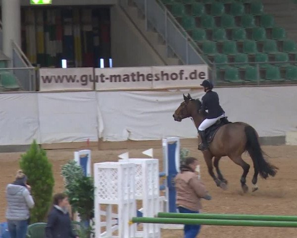 Reitturnier Kreuth/Opf. 2019