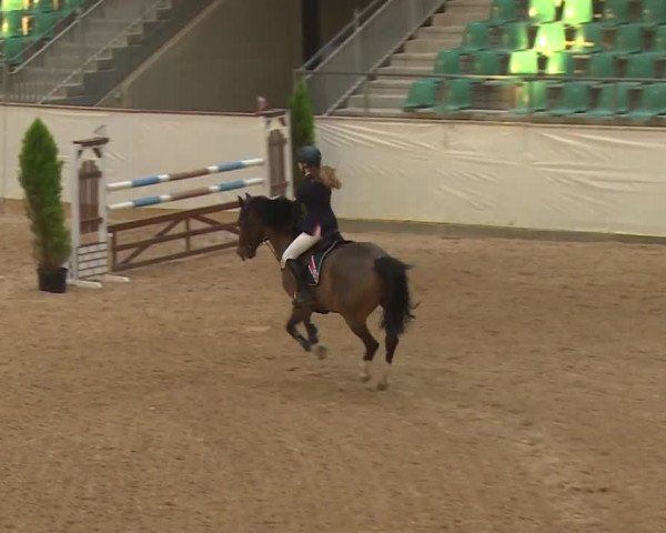 Reitturnier Kreuth/Opf. 2019