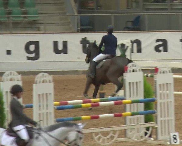 Reitturnier Kreuth/Opf. 2019