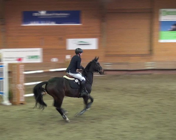Reitturnier Paderborn 2019