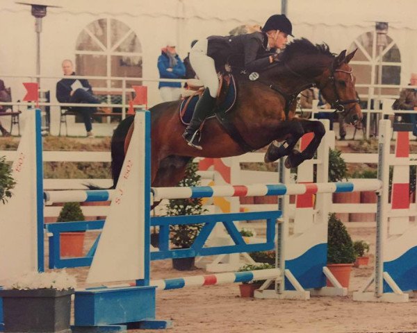 broodmare Asbirga Marie (Oldenburg, 1999, from Acord II)