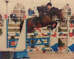 broodmare Asbirga Marie (Oldenburg, 1999, from Acord II)