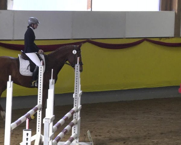 Reitturnier Ellwangen-Röhlingen 2019