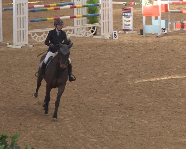 Reitturnier Kreuth/Opf. 2019