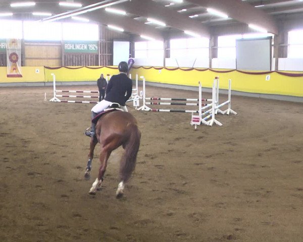 Reitturnier Ellwangen-Röhlingen 2019