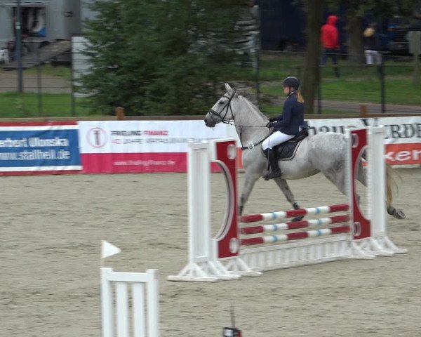 Reitturnier Westergellersen 2021