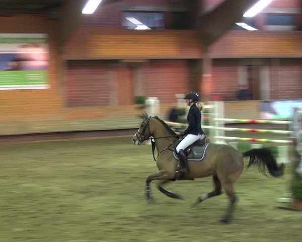 Reitturnier Paderborn 2019