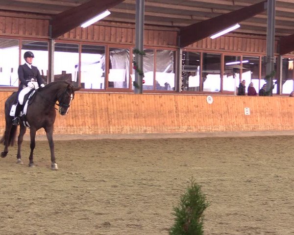 Reitturnier Appelhülsen 2019