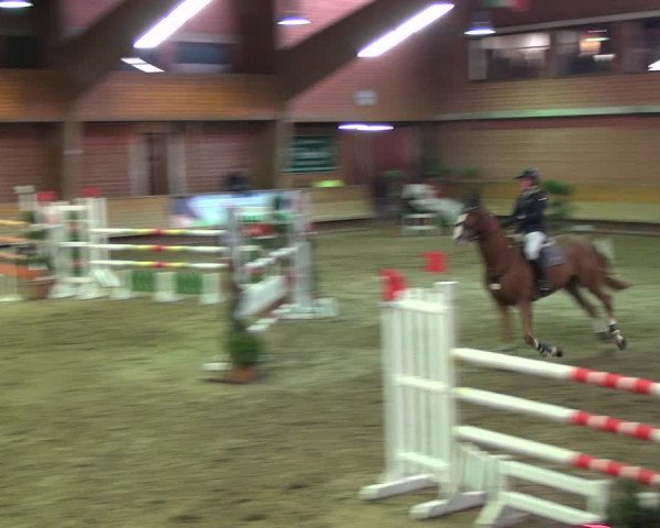 Reitturnier Paderborn 2019