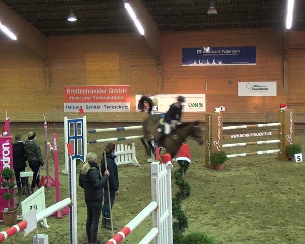 Reitturnier Paderborn 2019