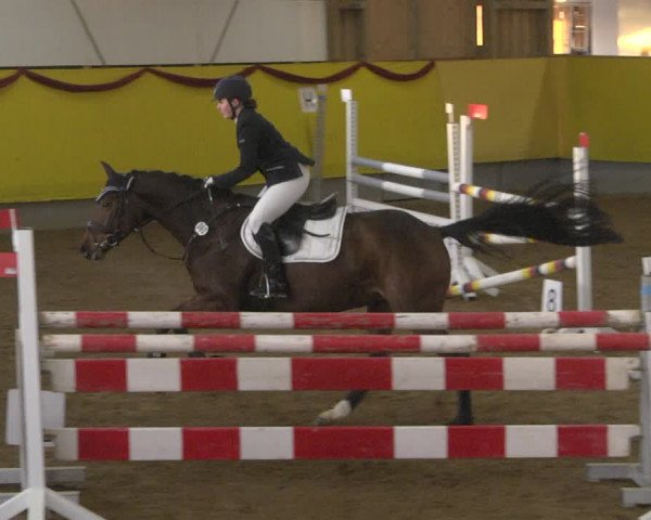 Reitturnier Ellwangen-Röhlingen 2019