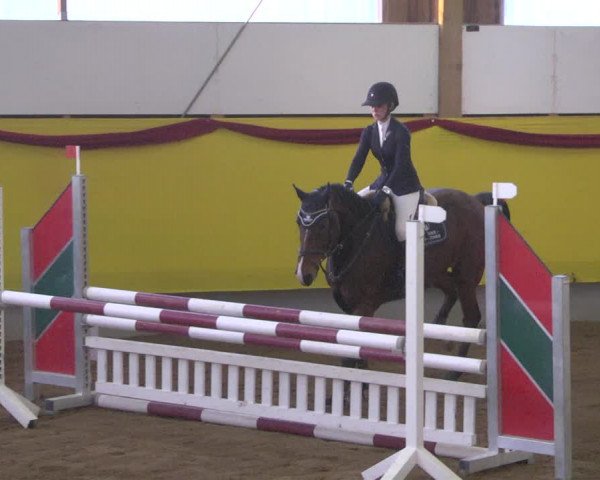 Reitturnier Ellwangen-Röhlingen 2019