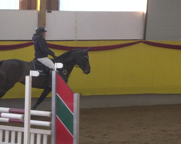 Reitturnier Ellwangen-Röhlingen 2019