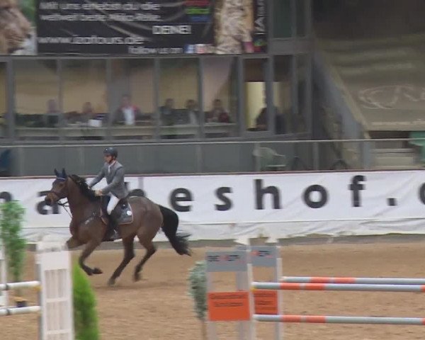 Reitturnier Kreuth/Opf. 2019