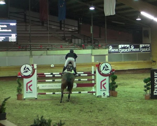 Reitturnier Paderborn 2019