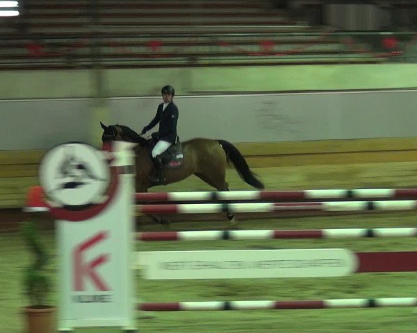 Reitturnier Paderborn 2019