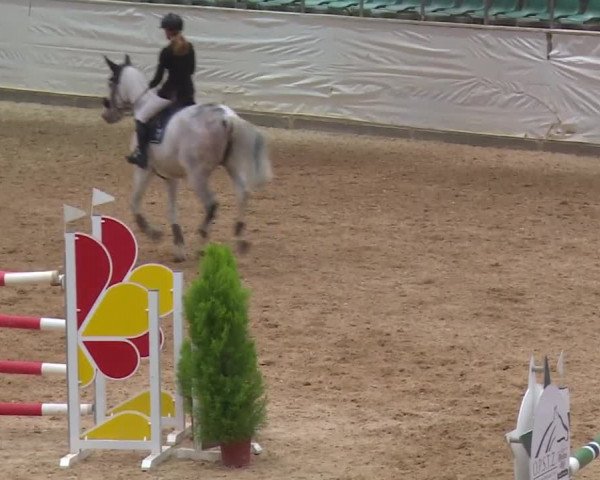 Reitturnier Kreuth/Opf. 2019