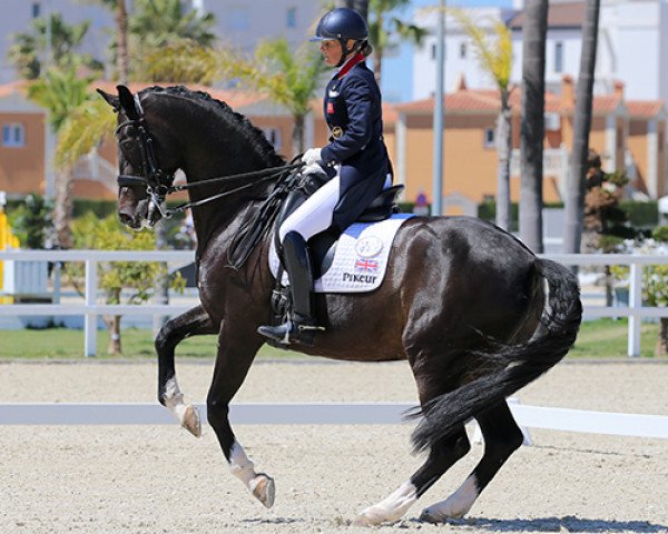 broodmare Die Callas (Oldenburg, 2001, from De Niro)