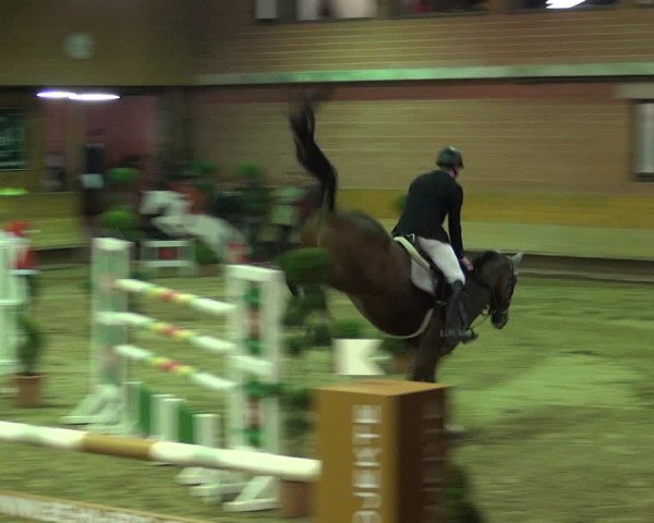 Reitturnier Paderborn 2019