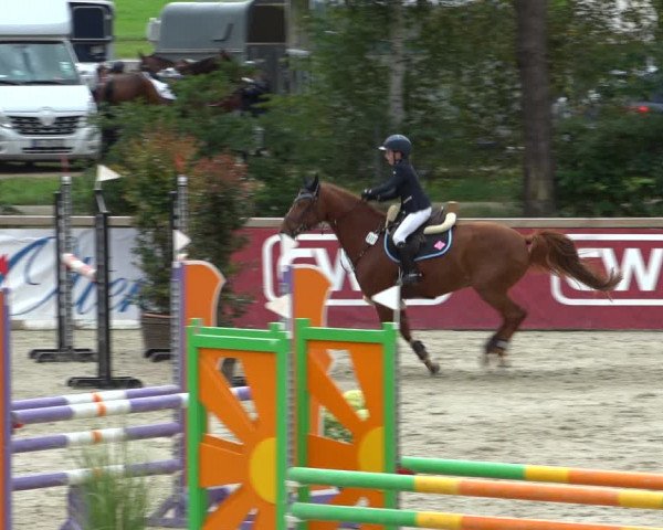 Reitturnier Westergellersen 2021