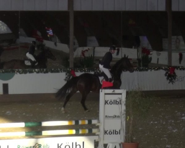 Reitturnier Essen-Stadtwald 2019