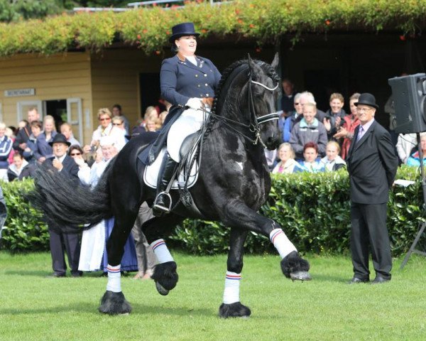 dressage horse Wilke C van de Wijdewormer (Friese, 1999, from Fabe 348)