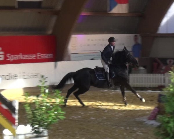 Reitturnier Essen-Stadtwald 2019